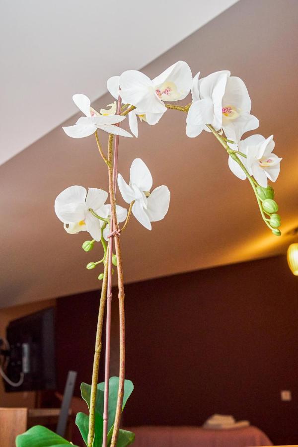 Східний Hotel Berezhany ภายนอก รูปภาพ